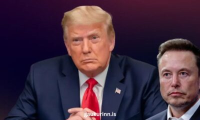 Musk And The Cabinet