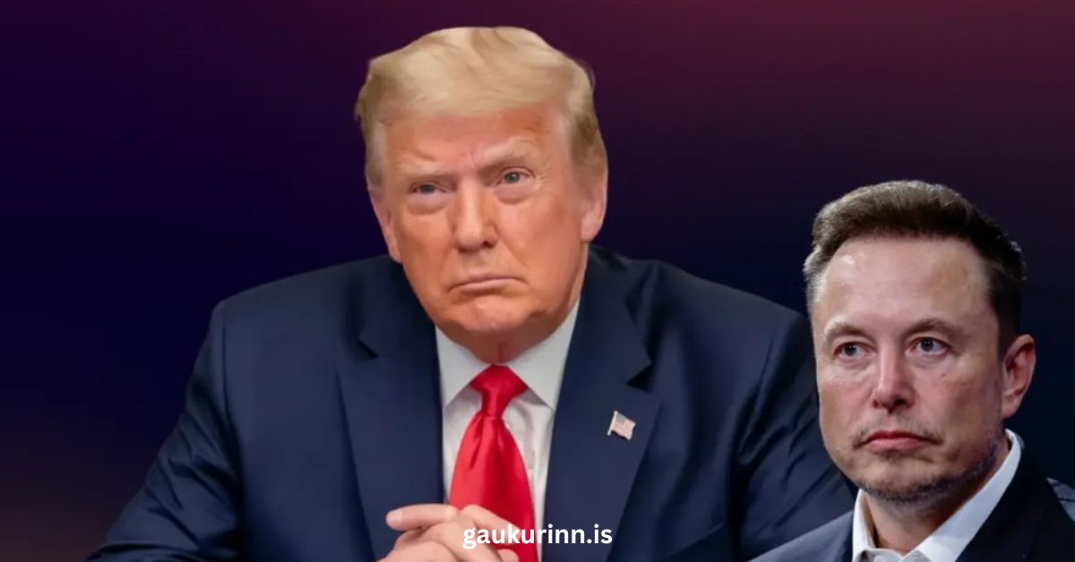 Musk And The Cabinet